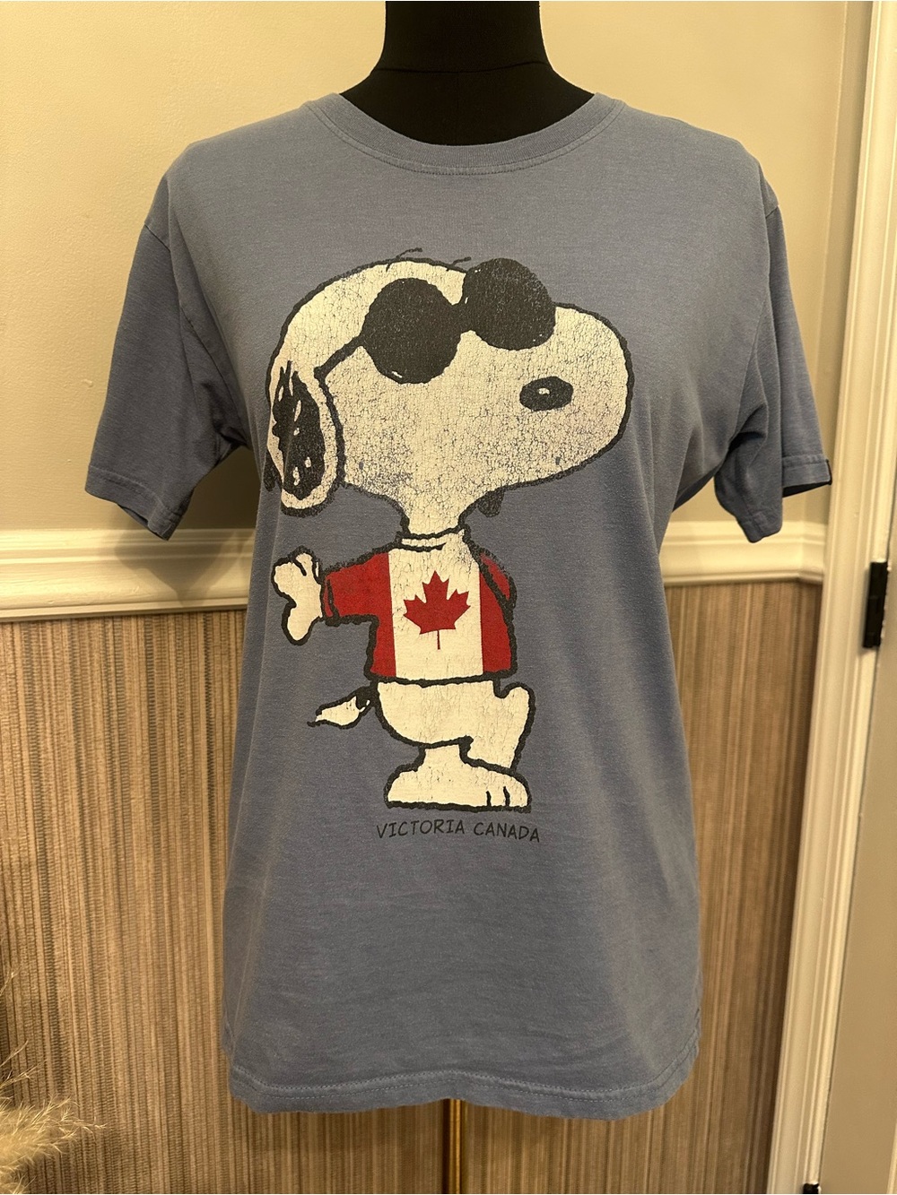 Snoopy Peanuts Victoria Canada Graphic T Shirt Blue Sunglasses Tee Unisex
